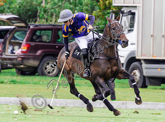 Polo action and Presentation, The Wichenford Bowl, Beaufort Polo Club
