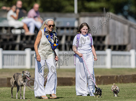Polo action and presentation NPM Tournament 2025, Cirencester Park