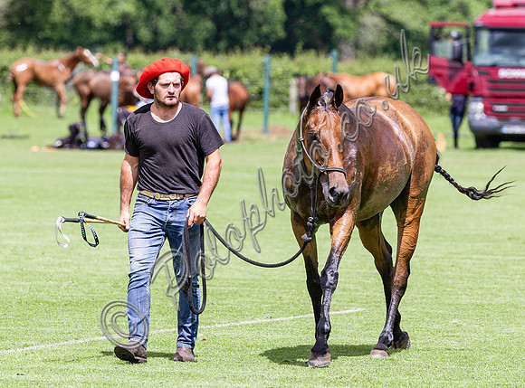 2024 Polo Action Cicero Cup, Cowdray Park