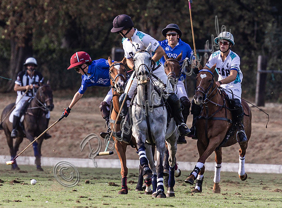 Polo action and presentation, Wichenford Bowl subsidiary final 2025, Beaufort Polo Club