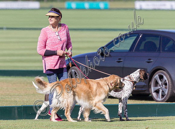 polo action, May 4 Goal Spring Cup subsidiary final 2022 at Cowdray Park Polo Club