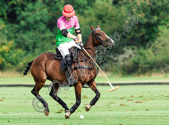 Polo action and presentation of the Syreford Plate NPM subsidiary at Cirencester Park