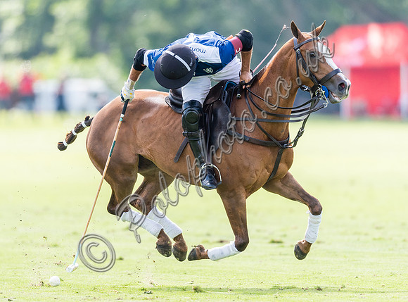 Polo action, 2021 Gold Cup, Cowdray Park Polo Club