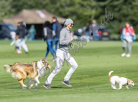Polo action, 2024 Gold Cup, Cowdray Park Polo Club
