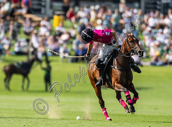 Polo action 2024 Gold Cup/Tramontana Cup, Cowdray Park