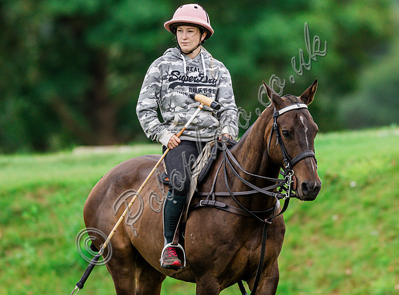 Polo action and Presentation, The Wichenford Bowl, Beaufort Polo Club