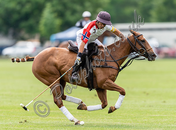 Polo action, Warwickshire Cup Final, Cirencester Park