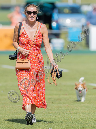 Treading in the divots at polo