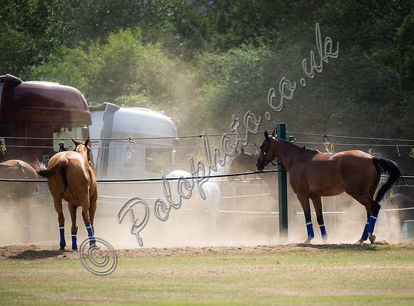 olo action, 2025 Gold Cup, Cowdray Park Polo Club