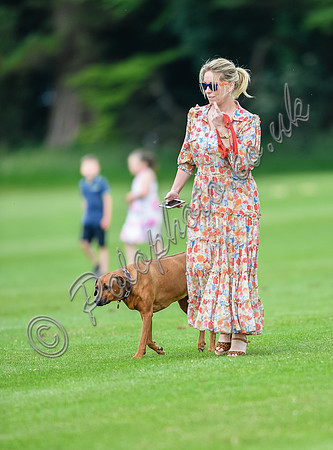 Polo action, Warwickshire Cup Final, Cirencester Park