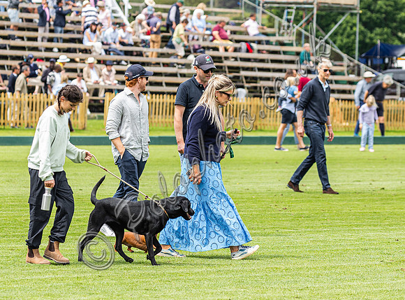 Polo action, 2024 Gold Cup, Cowdray Park Polo Club