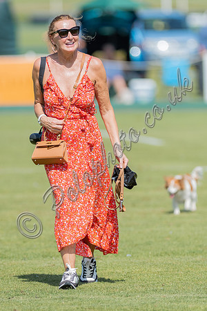 Treading in the divots at polo