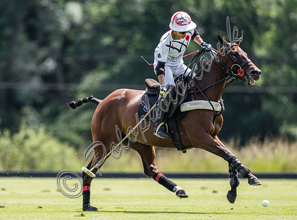 Polo action, 2024, Cowdray Park Polo Club