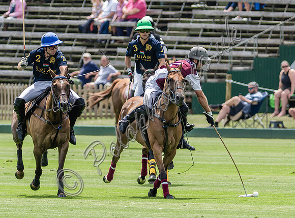 Polo action, 2025 Gold Cup, Cowdray Park Polo Club