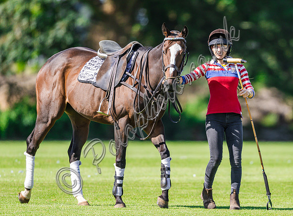 Polo action,  2024 Sidebottom Cup subsidiary, Beaufort Polo Club