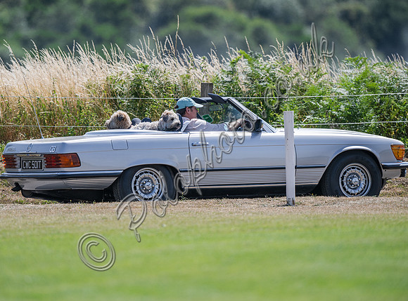 Polo action, 2025 Gold Cup, Cowdray Park Polo Club