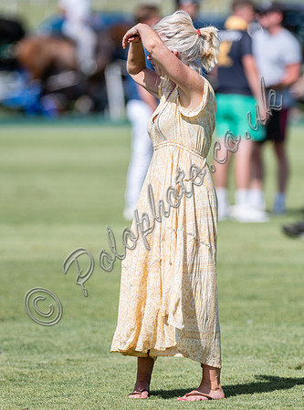 Treading in the divots at polo