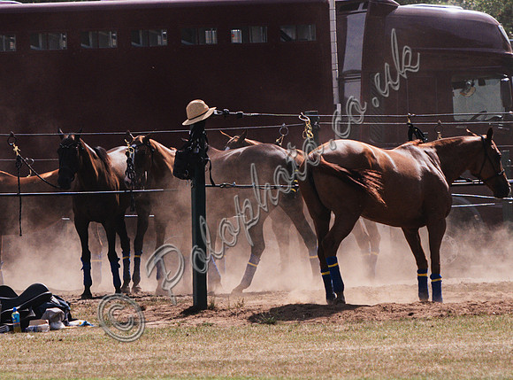 olo action, 2025 Gold Cup, Cowdray Park Polo Club