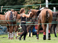 Polo action, Glion County Cup, Cirencester Park
