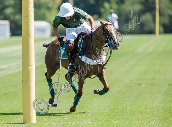 Polo action, 2025 Gold Cup quarter finals, Cowdray Park Polo Club