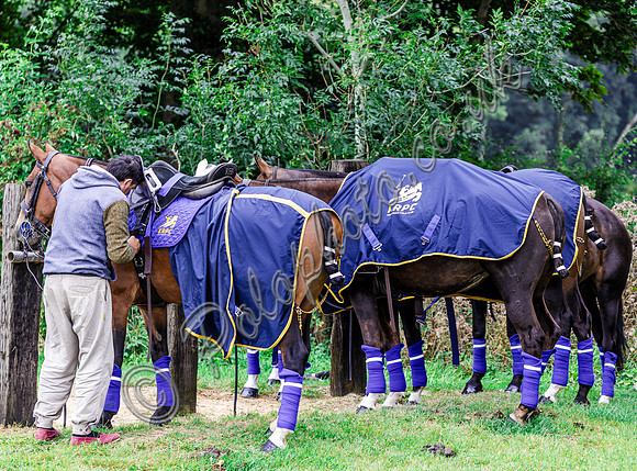 Polo action and Presentation, The Wichenford Bowl, Beaufort Polo Club