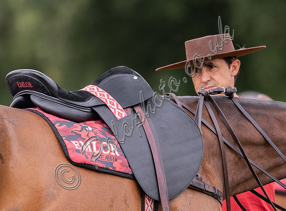 Polo action, Warwickshire Cup Final, Cirencester Park