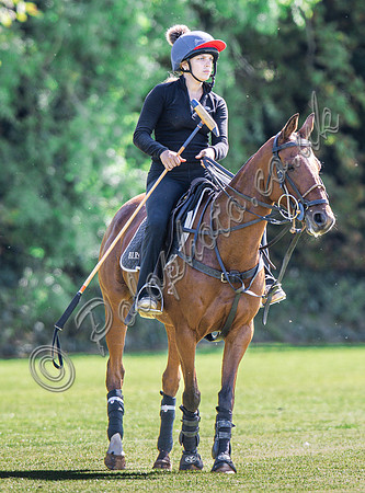 Polo action,  2024 Sidebottom Cup subsidiary, Beaufort Polo Club