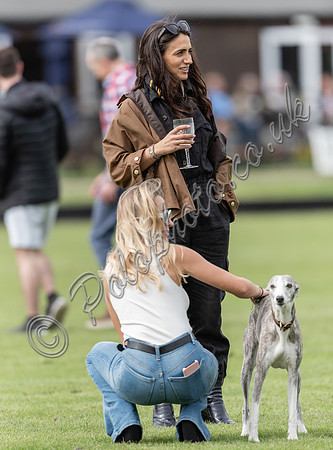 polo action for the Corinium Bowl, Cirencester Park