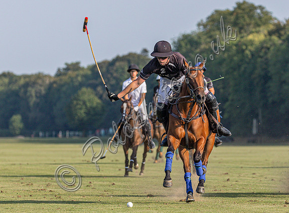 Polo action, County Cup 2025 league match, Cirencester Park