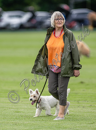Polo action, 2025 Gold Cup, Cowdray Park Polo Club