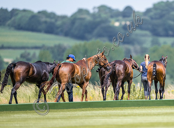 Polo action, 2024, Cowdray Park Polo Club