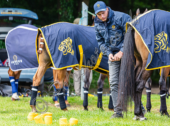 Polo action, Warwickshire Cup 2024, Cirencester Park