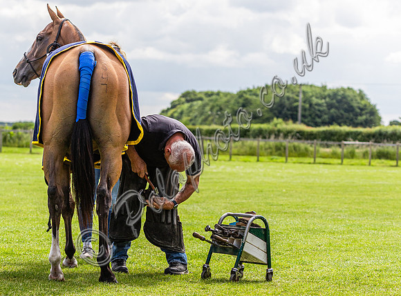 Polo action, Warwickshire Cup 2024, Cirencester Park
