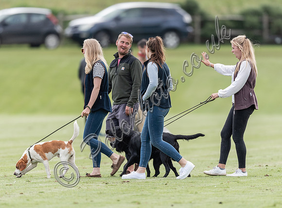 Polo action, 2021 Gold Cup, Cowdray Park Polo Club