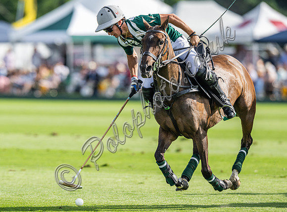 Polo action 2024 Gold Cup/Tramontana Cup, Cowdray Park