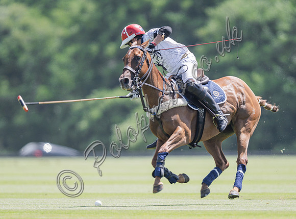 olo action, 2025 Gold Cup, Cowdray Park Polo Club