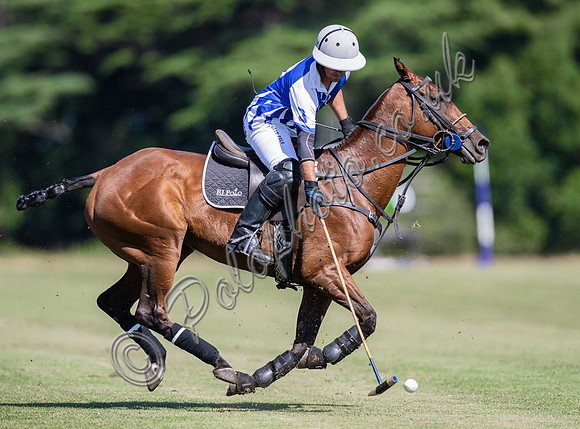 Polo action and presentation NPM Tournament 2025, Cirencester Park