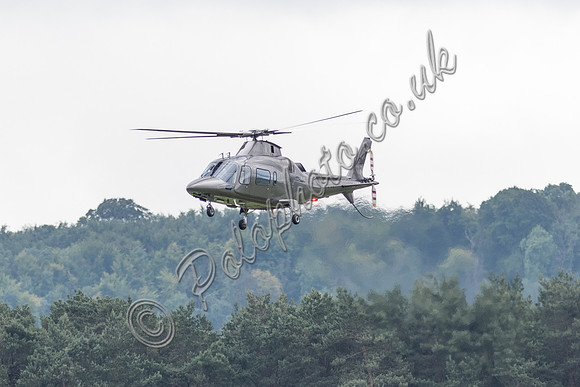 Polo action, 2021 Gold Cup, Cowdray Park Polo Club