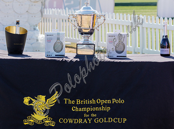 Polo action, 2025 Gold Cup quarter finals, Cowdray Park Polo Club