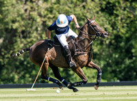 Polo action, 2025 Gold Cup, Cowdray Park Polo Club