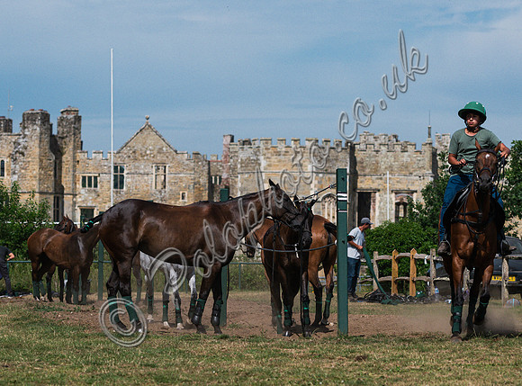 olo action, 2025 Gold Cup, Cowdray Park Polo Club
