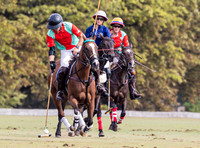 Polo action and presentation, Wichenford Bowl 2025, Beaufort Polo Club