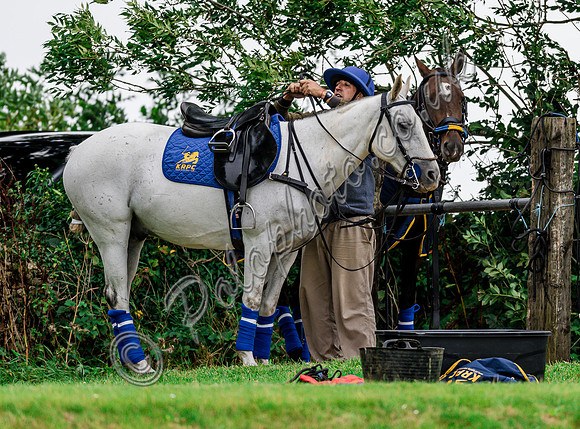 Polo action and Presentation, The Wichenford Bowl, Beaufort Polo Club