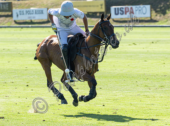 Cooch Behar Trophy,  2025 Gold Cup, Cowdray Park Polo Club