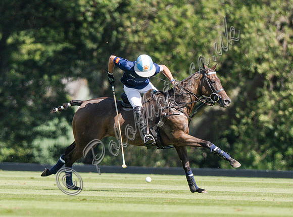 Polo action, 2025 Gold Cup, Cowdray Park Polo Club