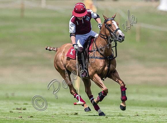 Polo action, 2025 Gold Cup, Cowdray Park Polo Club