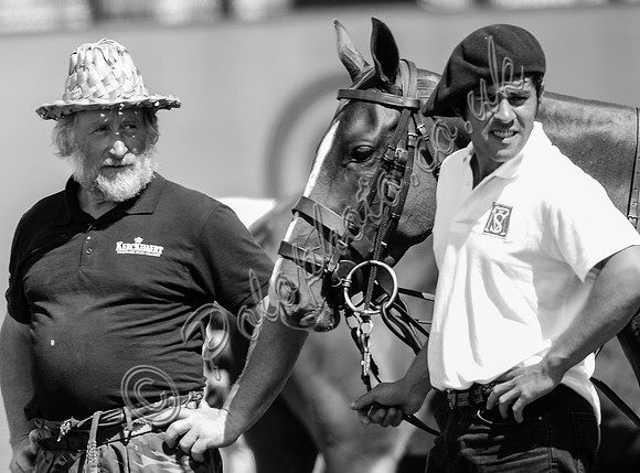 polo action between Britannia El Remanso and Murus Sanctus