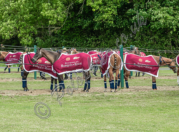 Polo action, 2025 Gold Cup, Cowdray Park Polo Club