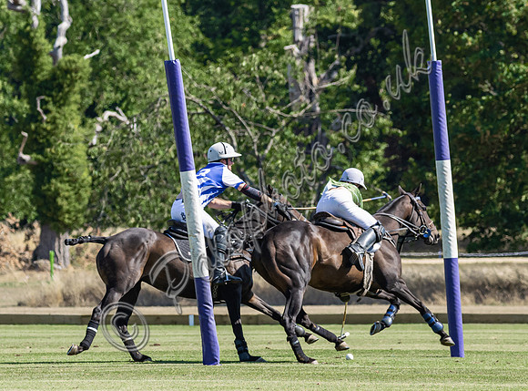 Polo action and presentation NPM Tournament 2025, Cirencester Park