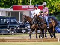 The County Cup Final sponsors Strutt and Parker